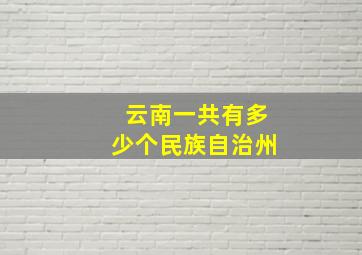 云南一共有多少个民族自治州