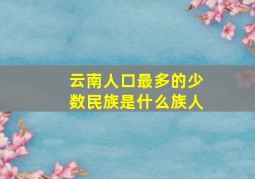 云南人口最多的少数民族是什么族人