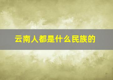 云南人都是什么民族的