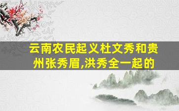 云南农民起义杜文秀和贵州张秀眉,洪秀全一起的