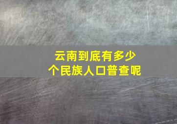 云南到底有多少个民族人口普查呢