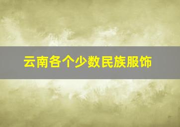 云南各个少数民族服饰