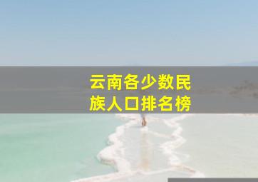 云南各少数民族人口排名榜