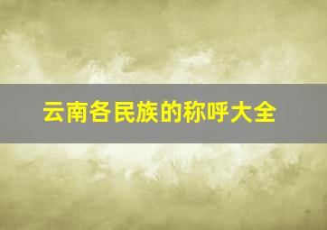 云南各民族的称呼大全