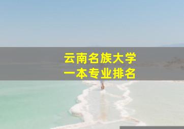 云南名族大学一本专业排名