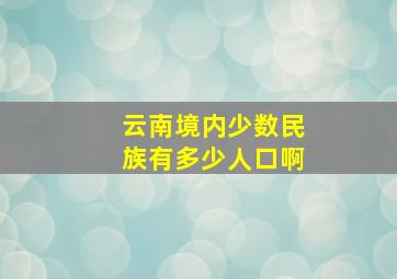 云南境内少数民族有多少人口啊