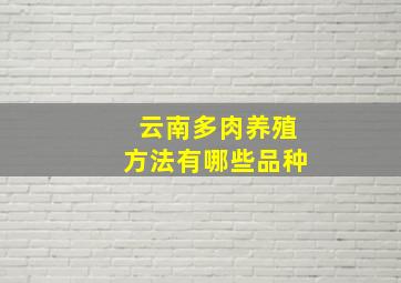 云南多肉养殖方法有哪些品种