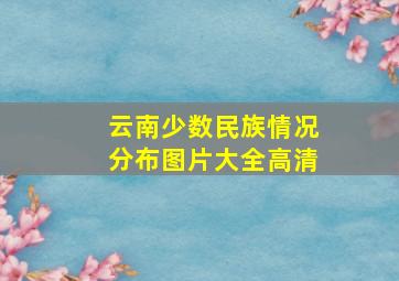 云南少数民族情况分布图片大全高清