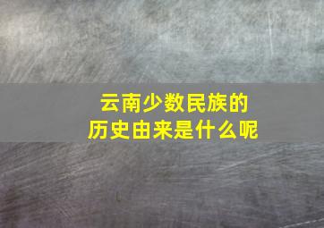 云南少数民族的历史由来是什么呢