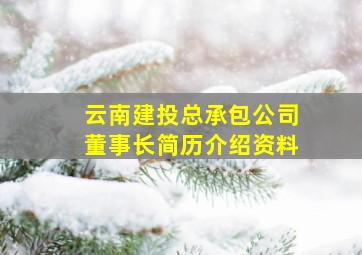 云南建投总承包公司董事长简历介绍资料