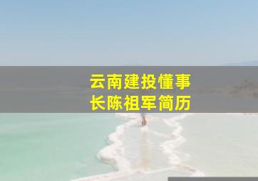 云南建投懂事长陈祖军简历