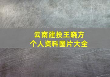 云南建投王晓方个人资料图片大全