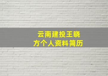 云南建投王晓方个人资料简历