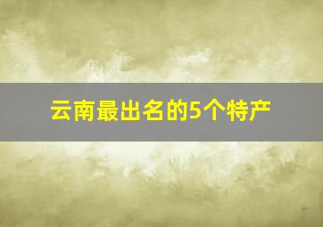 云南最出名的5个特产