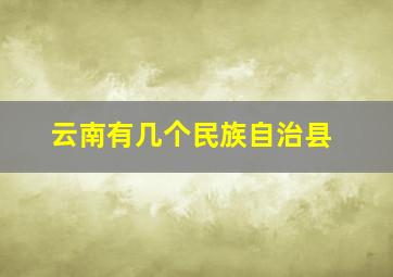 云南有几个民族自治县