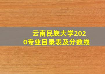 云南民族大学2020专业目录表及分数线