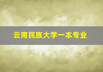 云南民族大学一本专业