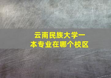 云南民族大学一本专业在哪个校区