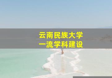 云南民族大学一流学科建设