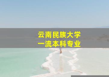 云南民族大学一流本科专业