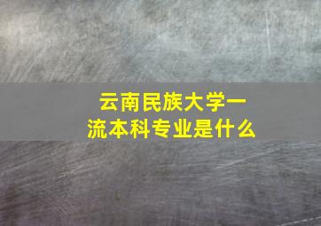 云南民族大学一流本科专业是什么