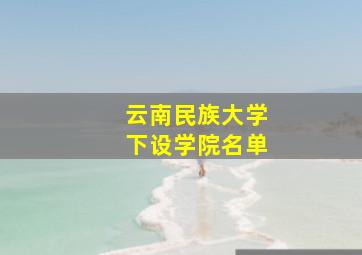 云南民族大学下设学院名单