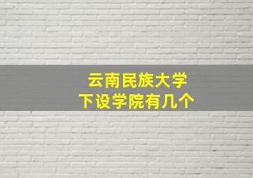 云南民族大学下设学院有几个