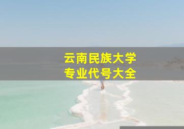 云南民族大学专业代号大全