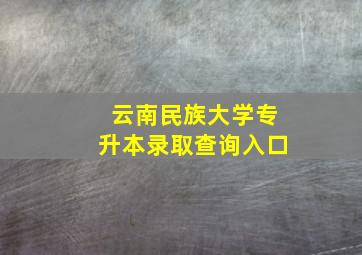 云南民族大学专升本录取查询入口