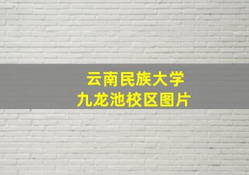 云南民族大学九龙池校区图片