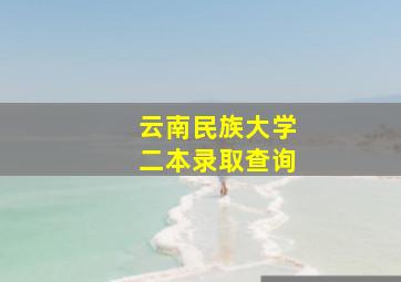 云南民族大学二本录取查询