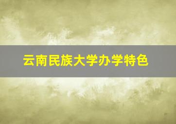 云南民族大学办学特色