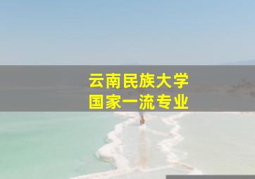 云南民族大学国家一流专业