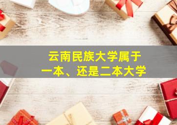 云南民族大学属于一本、还是二本大学