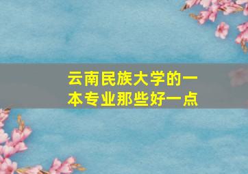 云南民族大学的一本专业那些好一点