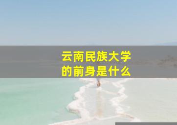 云南民族大学的前身是什么