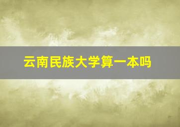 云南民族大学算一本吗