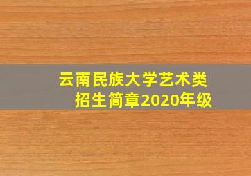 云南民族大学艺术类招生简章2020年级