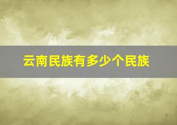 云南民族有多少个民族