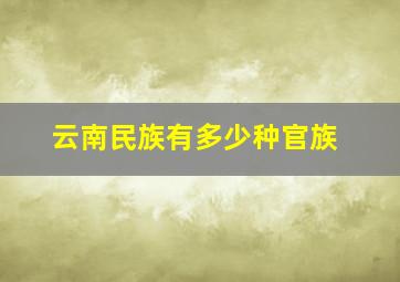 云南民族有多少种官族