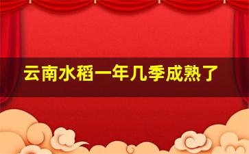 云南水稻一年几季成熟了