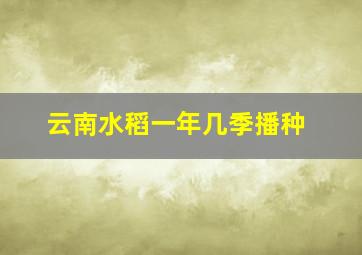 云南水稻一年几季播种