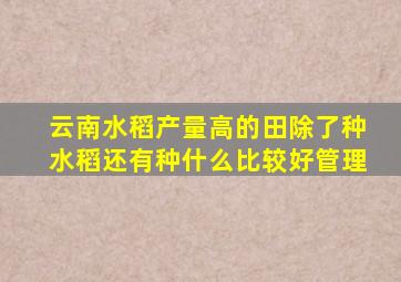 云南水稻产量高的田除了种水稻还有种什么比较好管理