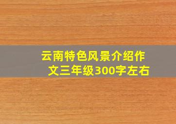 云南特色风景介绍作文三年级300字左右