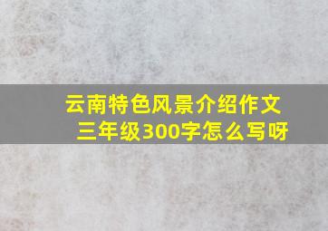 云南特色风景介绍作文三年级300字怎么写呀