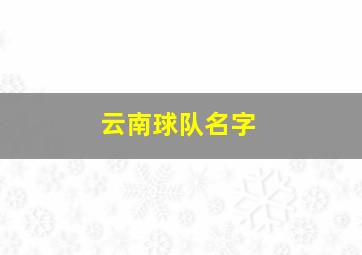 云南球队名字