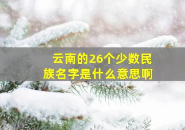 云南的26个少数民族名字是什么意思啊