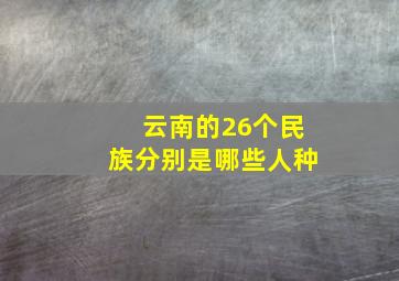 云南的26个民族分别是哪些人种