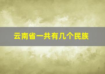 云南省一共有几个民族