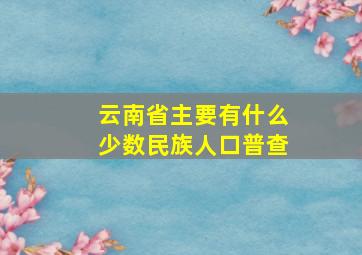 云南省主要有什么少数民族人口普查